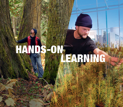 Hands on Learning